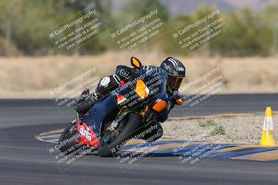 media/Nov-11-2023-SoCal Trackdays (Sat) [[efd63766ff]]/Turn 7 (2pm)/